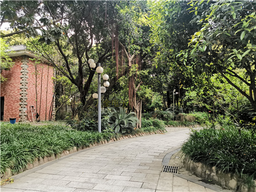 地下停車場、大型倉庫，如何解決大場景下的監(jiān)控需求