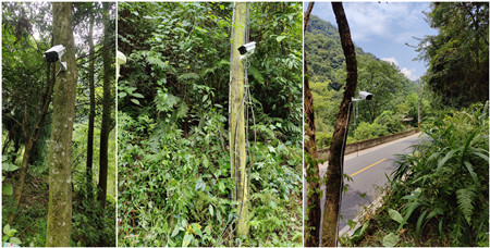 監(jiān)控?cái)z像頭|基站監(jiān)控?cái)z像頭|野外監(jiān)控系統(tǒng)