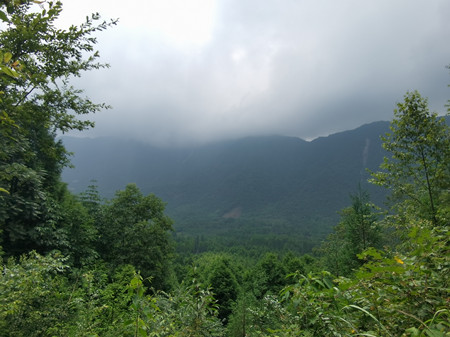 野外安裝監(jiān)控?cái)z像頭，在披荊斬棘中奮斗