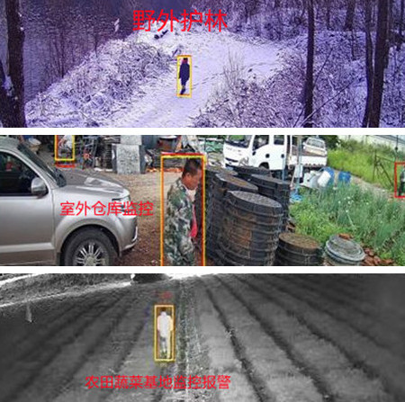 無電無網(wǎng)少人煙的野外，還想裝監(jiān)控系統(tǒng)？這不是空想