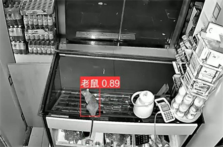 AI視頻監(jiān)控能拍到老鼠？老鼠監(jiān)控算法說可以