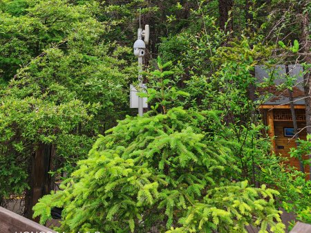 AI視頻監(jiān)控系統(tǒng)在景區(qū)監(jiān)控系統(tǒng)中的實際應用